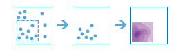 Workflow-Diagramm des Werkzeugs "Dichte berechnen" Workflow-Diagramm des Werkzeugs "Dichte berechnen"